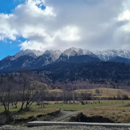 Pensjonat Pensiunea Kyfana Zărneşti