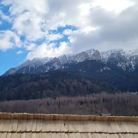Pensiunea Kyfana Pensjonat Zărneşti