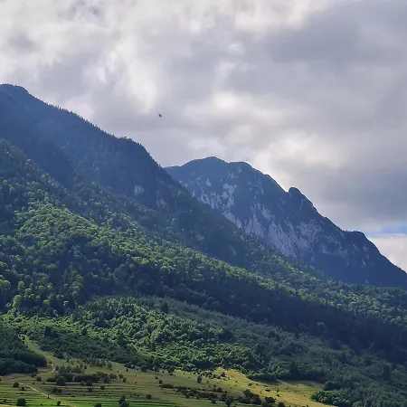 Pensiunea Kyfana Pensjonat 3*
