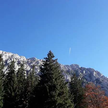 Pensiunea Kyfana 3* Zărneşti