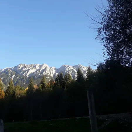 Pensiunea Kyfana 3*