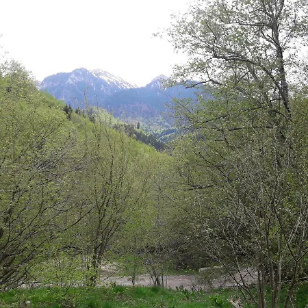 Pensiunea Kyfana 3* Zărneşti