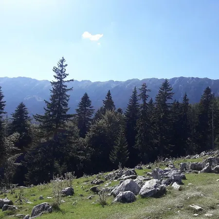 Pensjonat Pensiunea Kyfana