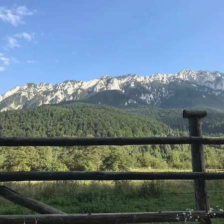 Pensjonat Pensiunea Kyfana Zărneşti